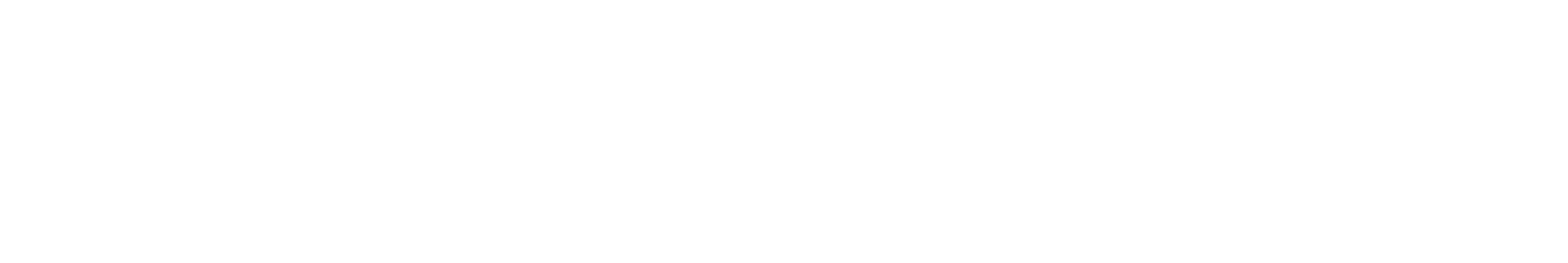 zerolook